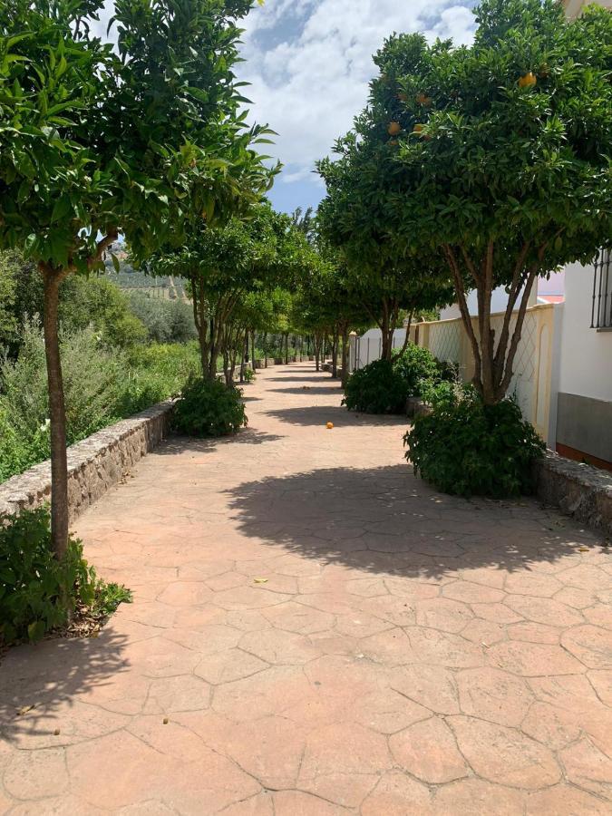 Apartamento En Cuevas Del Becerro Exteriér fotografie